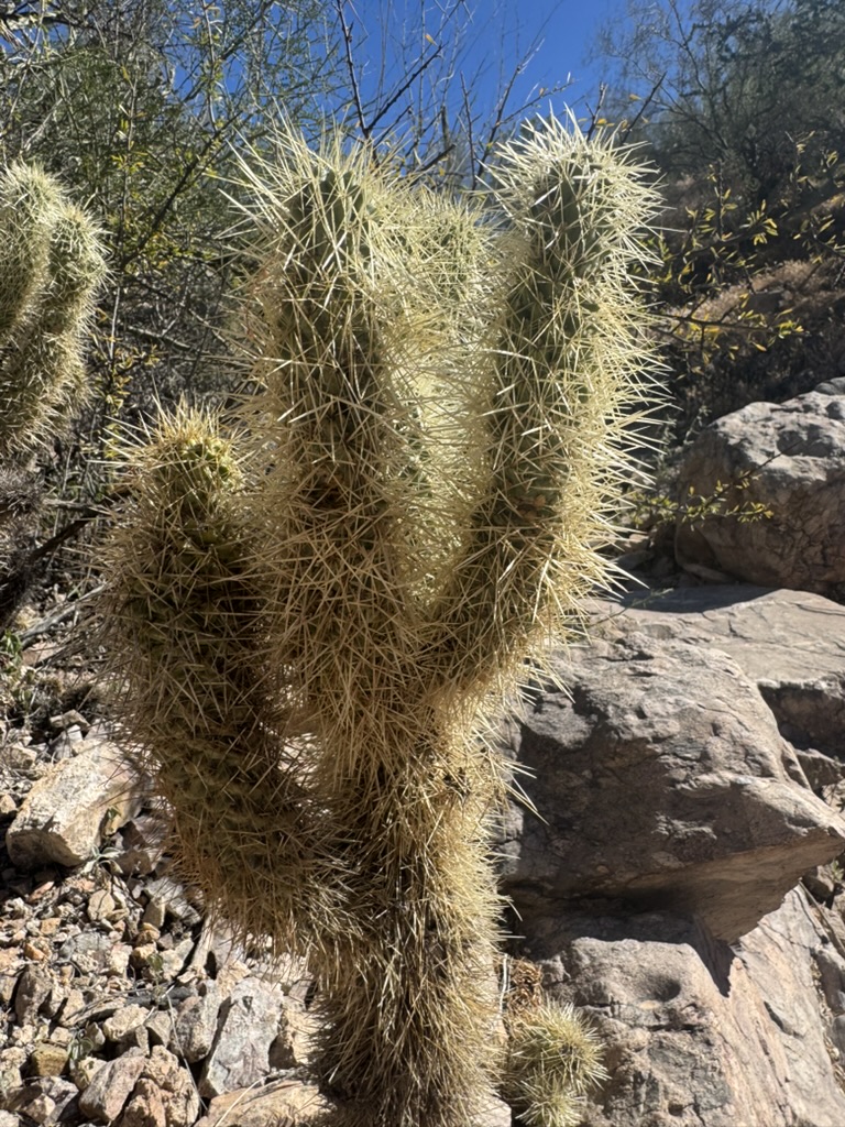Downtown Phoenix, Arizona — 1