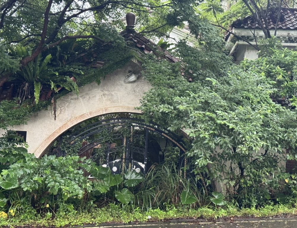 Yangmingshan National Park, Taiwan — 5