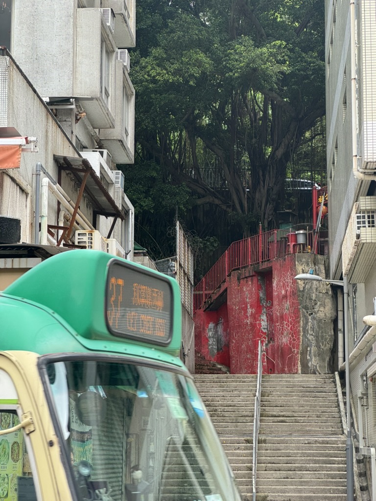 Yangmingshan National Park, Taiwan — 28