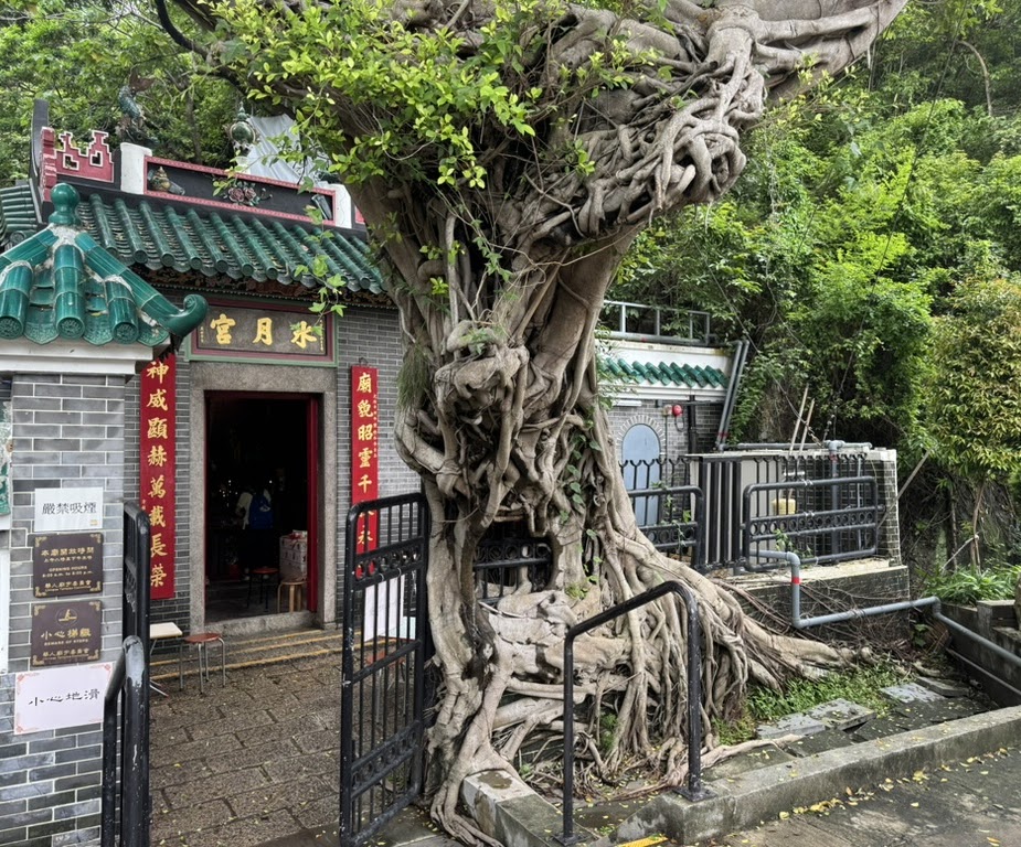 Yangmingshan National Park, Taiwan — 29
