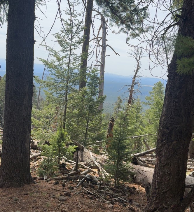 Flagstaff, Arizona — 5
