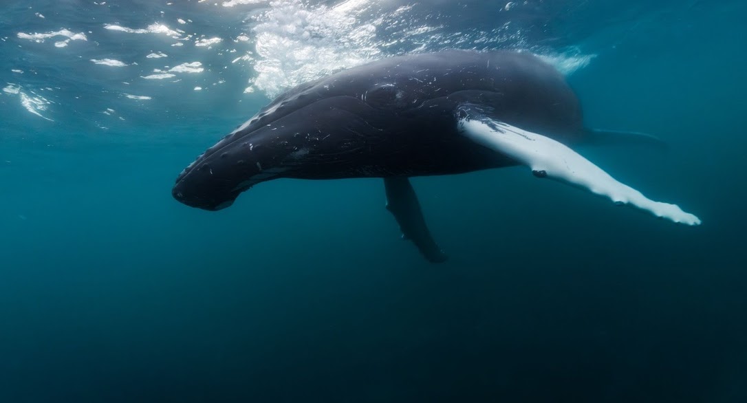 Somewhere in the Arctic, Norway — 10