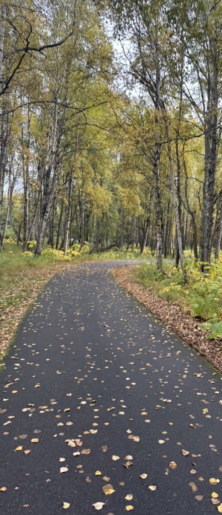 Anchorage, Alaska — 13